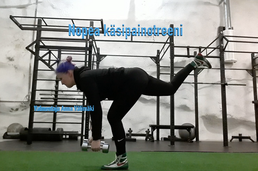 Käsipainotreeni