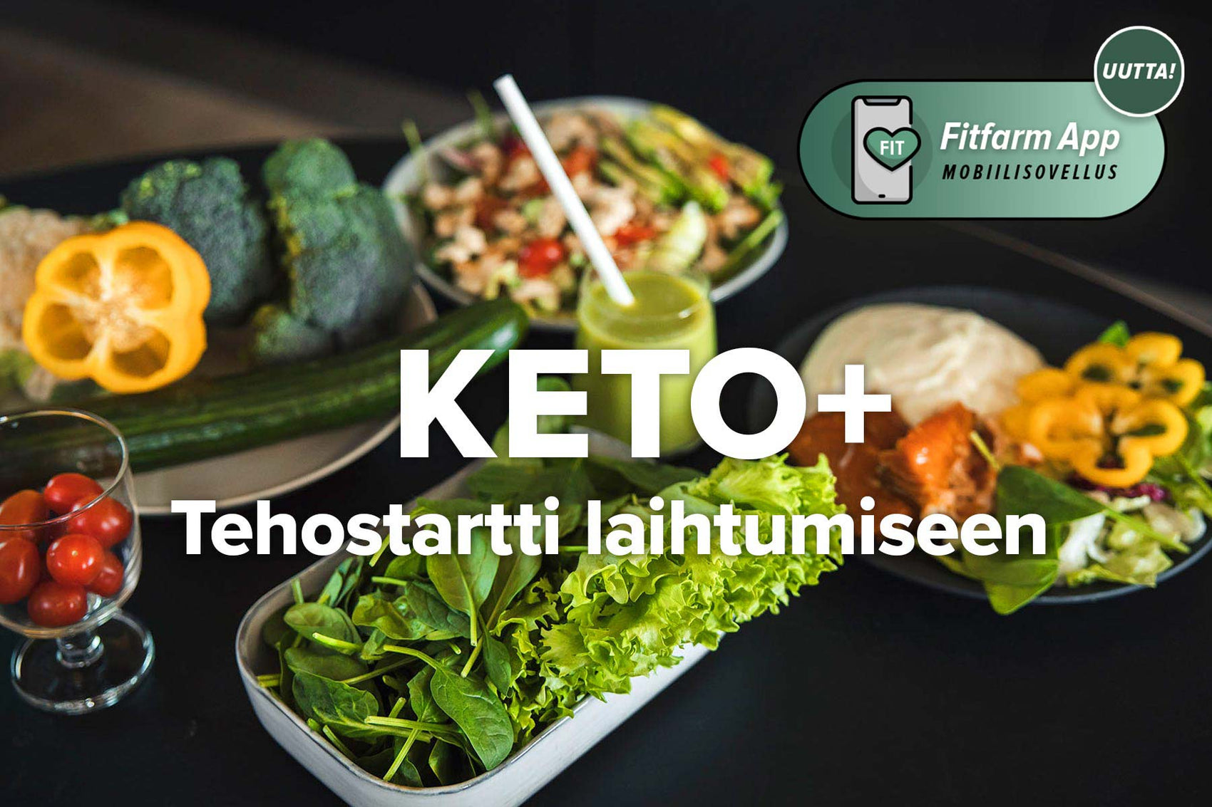 KETO+ - Fitfarm