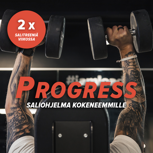 Progress | 2 x VIIKKO