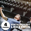 Rintalihakset liekkeihin